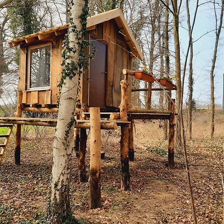 Отель Baumhausnaechte Ladbergen Экстерьер фото