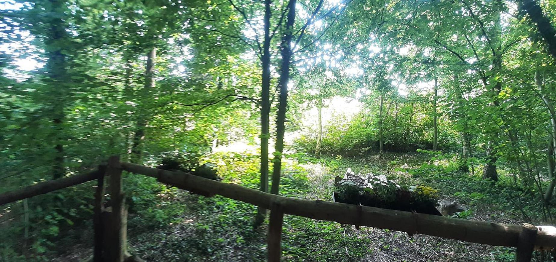 Отель Baumhausnaechte Ladbergen Экстерьер фото